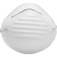Dust Mask - 10 pack